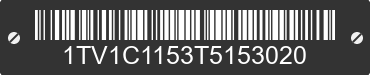 1996 VIKING RV Coachmen 1TV1C1153T5153020 VIN decoded