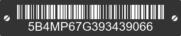 2009 WORKHORSE W22 5B4MP67G393439066 VIN decoded
