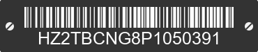 2023 ZHILONG EAGLE HZ2TBCNG8P1050391 VIN decoded